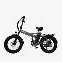 BLJ 1000W Folding Electric Bike - 20