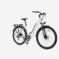 TESWAY High-performance and lightweight 500W electric bike - 48V 12AH battery, 90km range