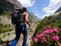 Complete Guide: How to Pack Your Backpack for a Day Hike