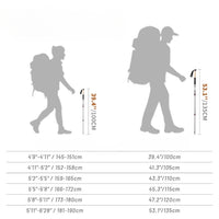 Carbon Fiber Hiking Poles